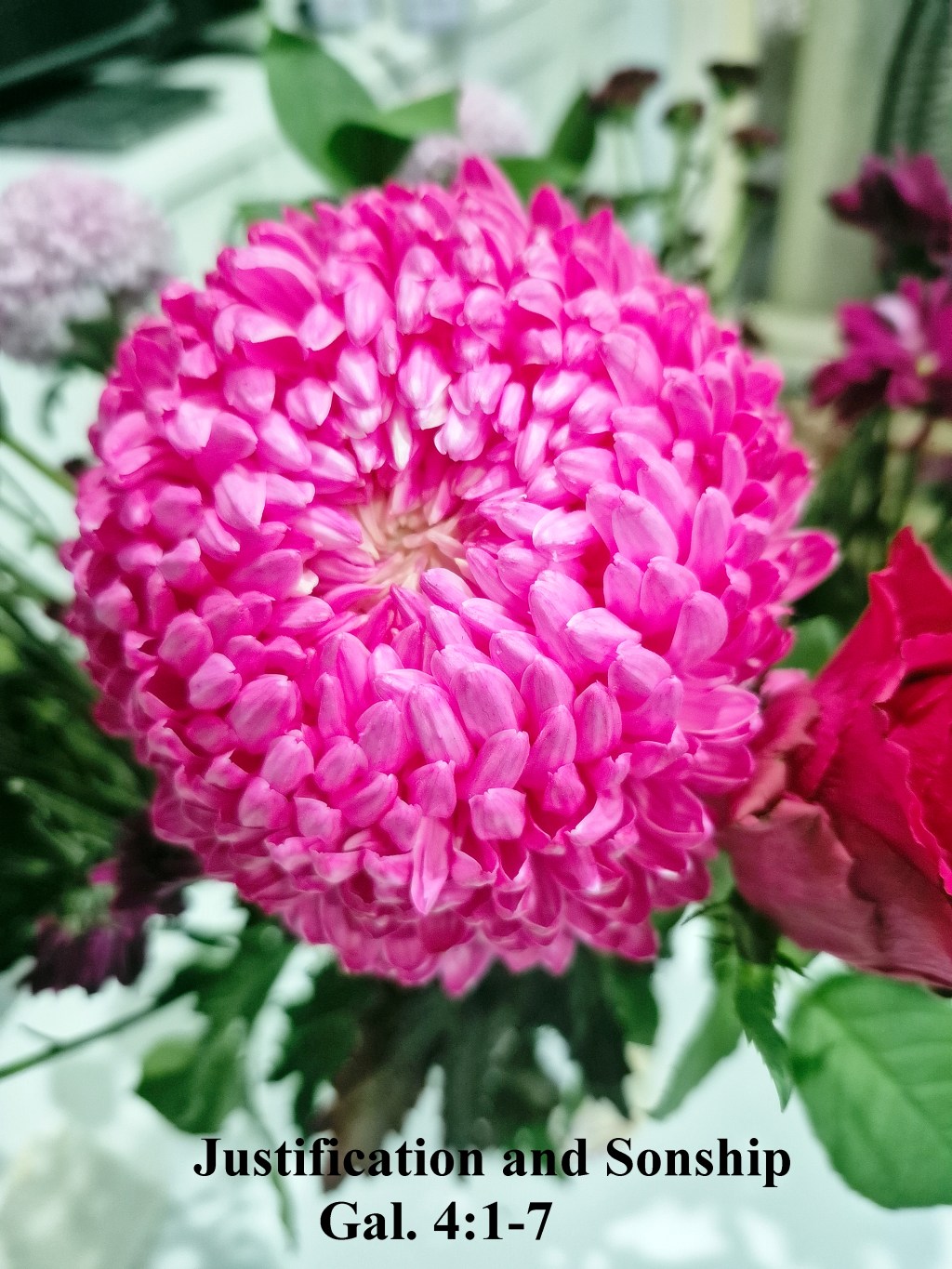 Justification and Sonship