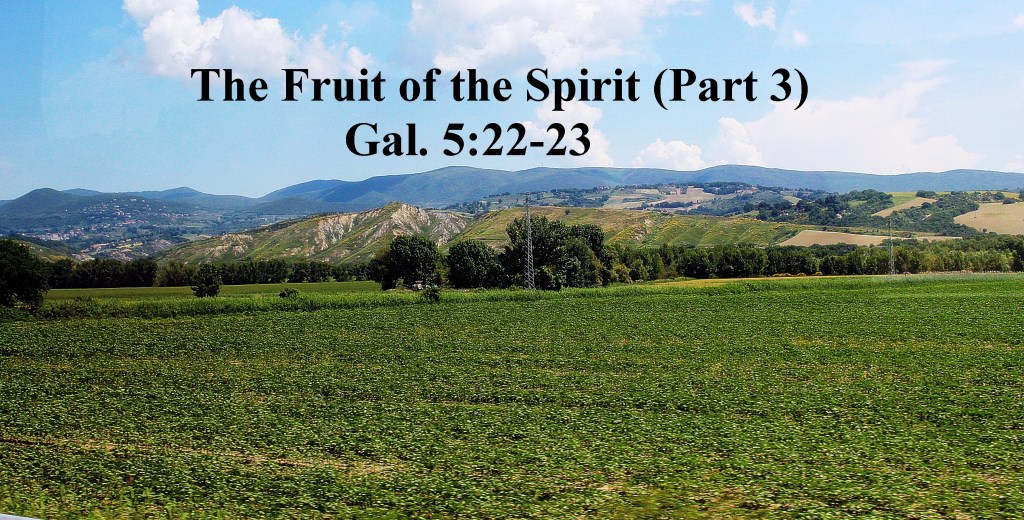 Fruit of the Spirit (Part 3)