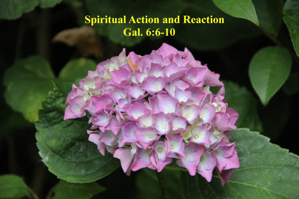 Spiritual Action and Reaction