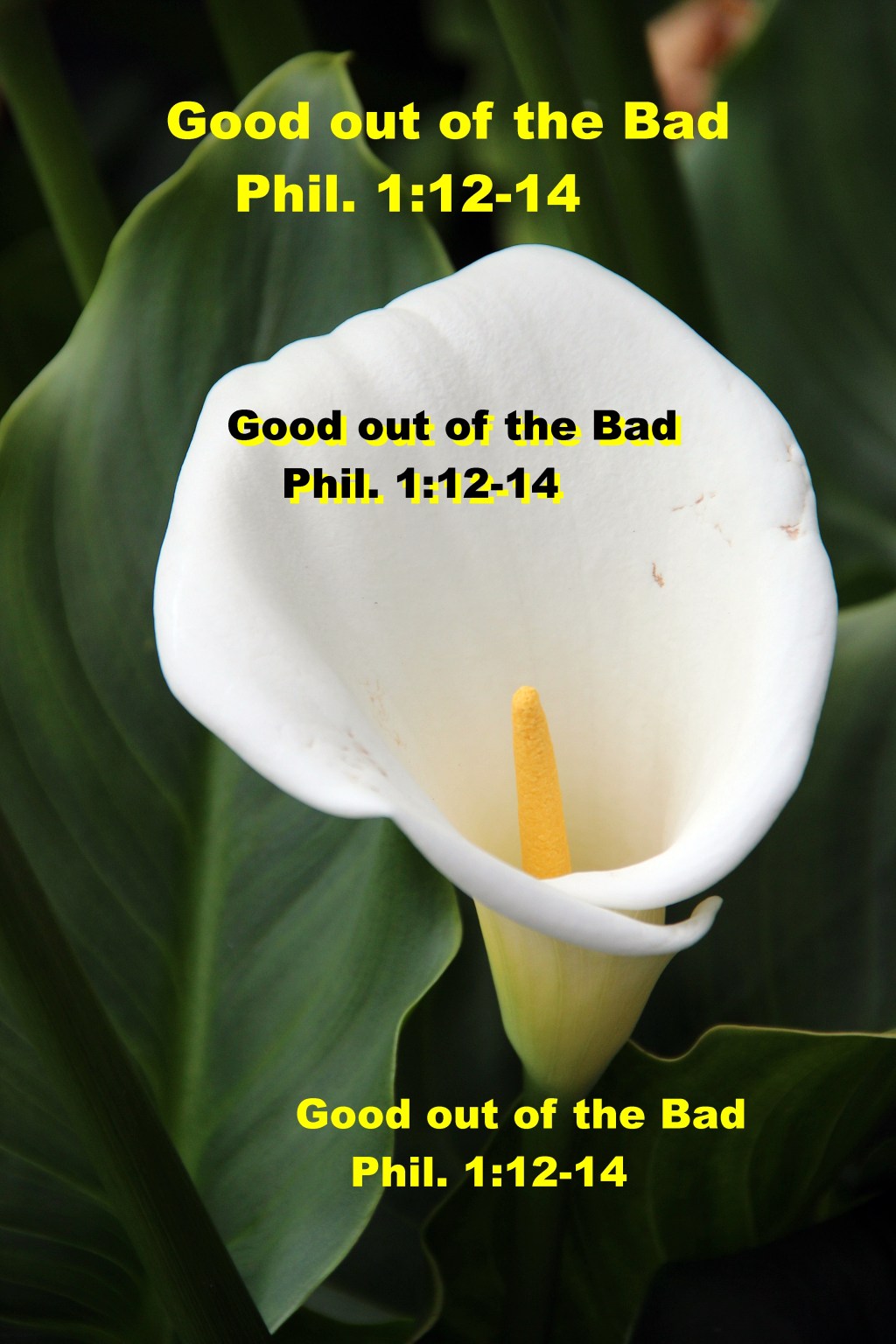 Good out of the&nbsp;Bad