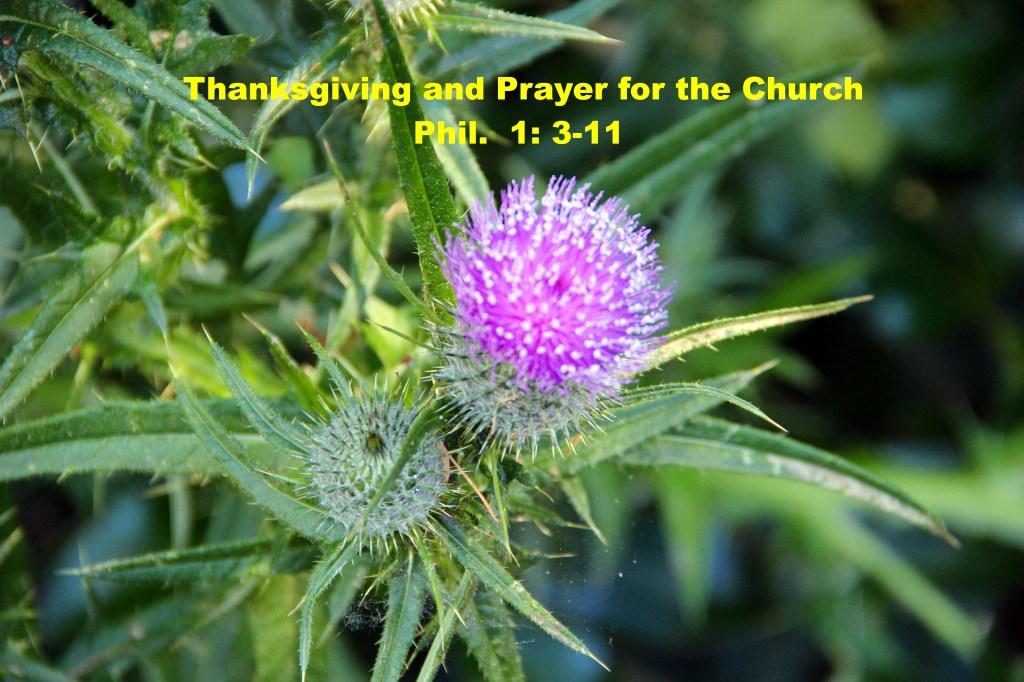 Thanksgiving and Prayer for the Church