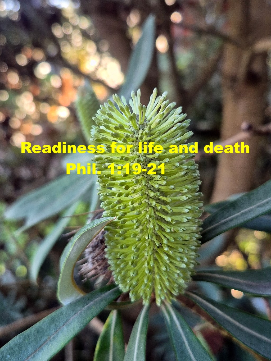 Readiness for life and&nbsp;death