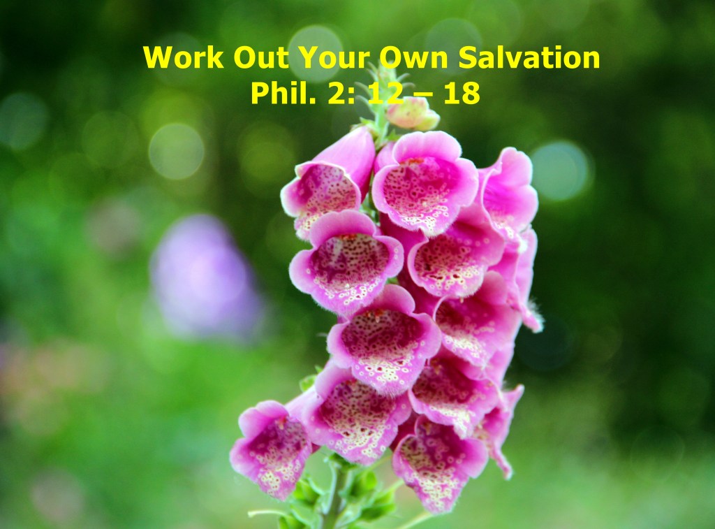 Work Out Your Own&nbsp;Salvation